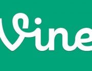 vine - the content guys blog